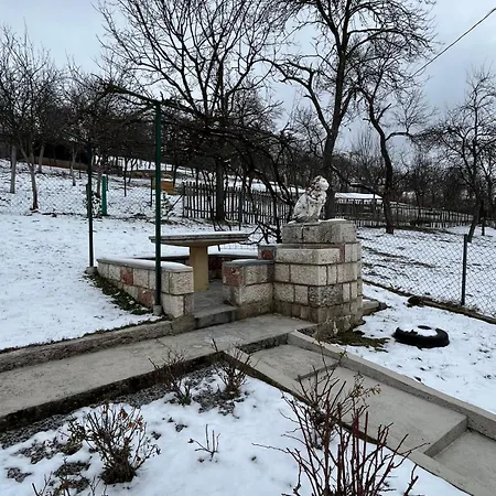 Antonije * Sljivovica (Mala Reka)